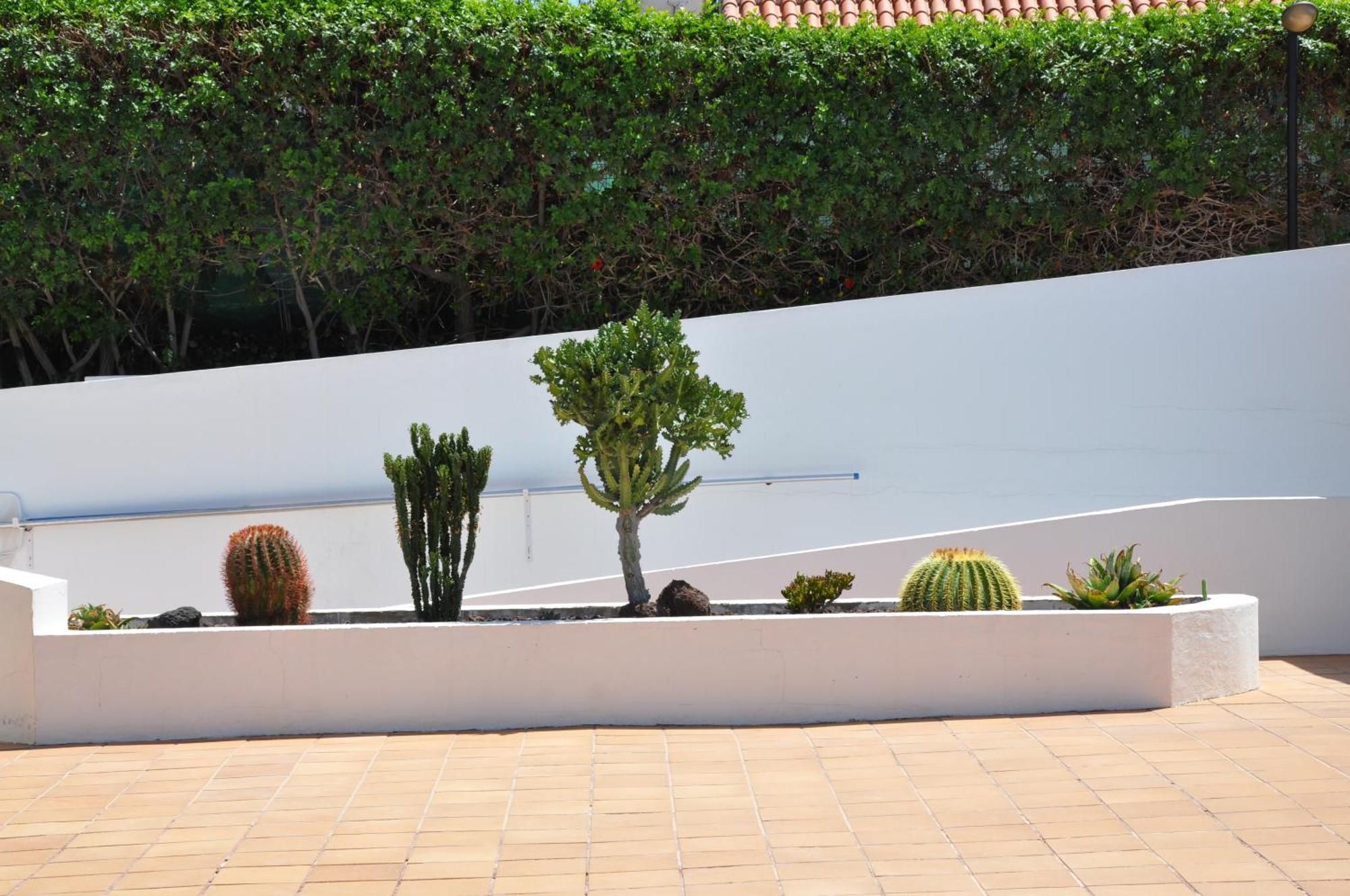 Serenity Garden มาสปาโลมาส ภายนอก รูปภาพ